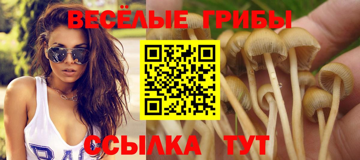 Псилоцибиновые грибы MAGIC MUSHROOMS Новозыбков